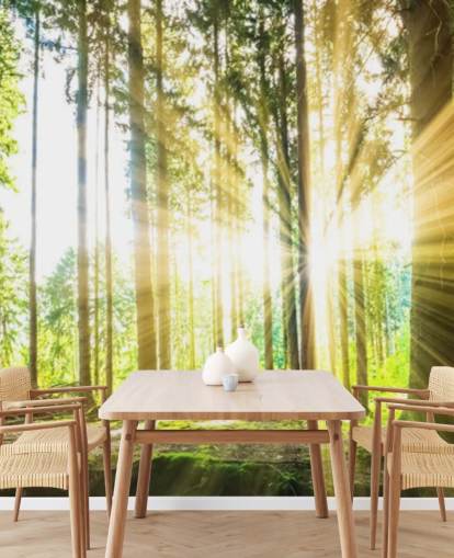 vihreä muokattava metsätaustakuvamaalaus nimeltään Forest Sun toimistoon vihreä muokattava metsätaustakuvamaalaus nimeltään Forest Sun toimistoon