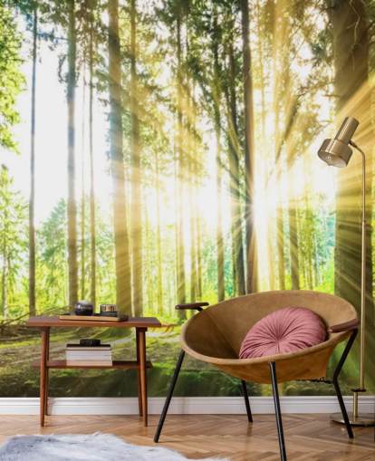green customizable forest wallpaper mural called Forest Sun for office green customizable forest wallpaper mural called Forest Sun for office
