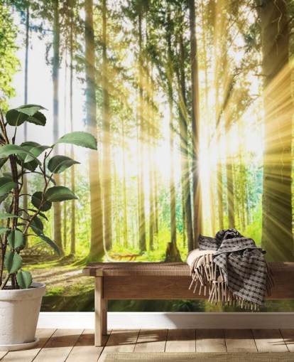 green customisable forest wallpaper mural called Forest Sun for office green customisable forest wallpaper mural called Forest Sun for office