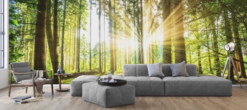 Forest Wallpaper Tree Wall Murals Wallsauce Us