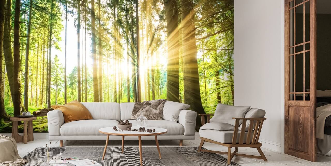 Forest Sun Wallpaper | Wallsauce UK