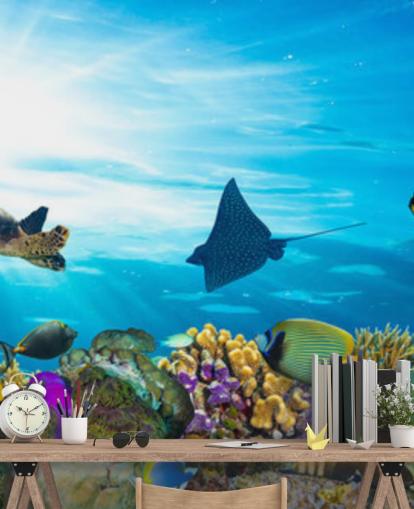 Farverige fisk og koral tapet Farverige fisk og koral tapet