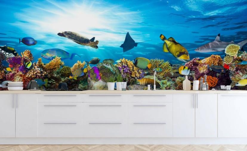 Rainbow Rainbow Tropical Underwater Ocean Sea Life Wallpaper Mural Giant  Wall Decor