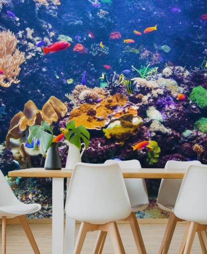 Coral Reef and Tropical Fish Wallpaper Coral Reef and Tropical Fish Wallpaper