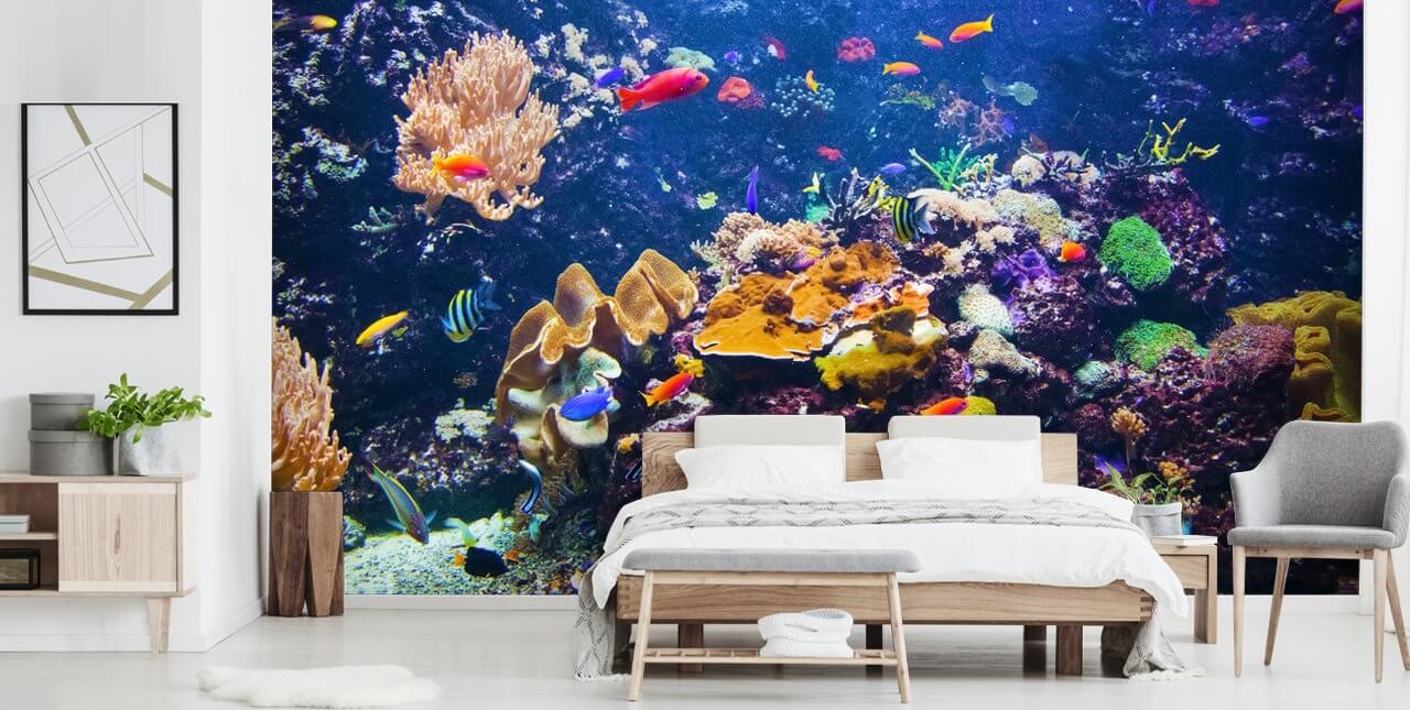 Coral Reef and Tropical Fish Wallpaper