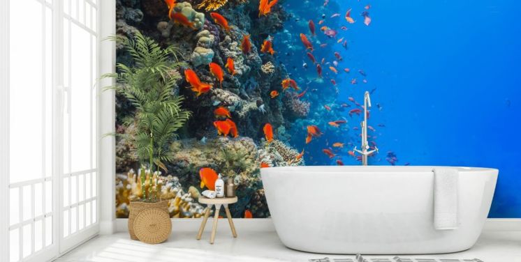 Coral Reef Society Fish Wallpaper