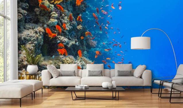 Mural de pared Pescado naranja con coral