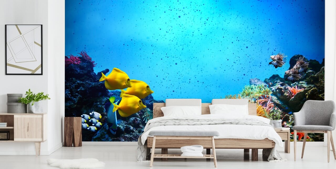 Papier Peint Corail et Poissons