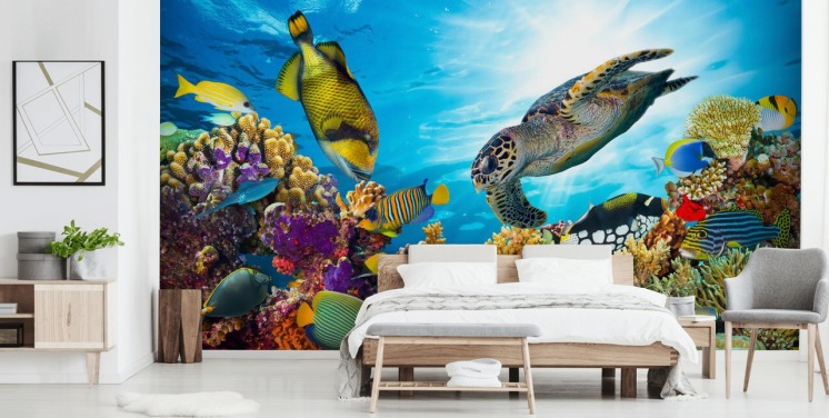 Buntes individuelles Tapeten-Wandbild mit Meer- und Meeresbewohnern namens Coral Reef Diversity für das Kinderzimmer