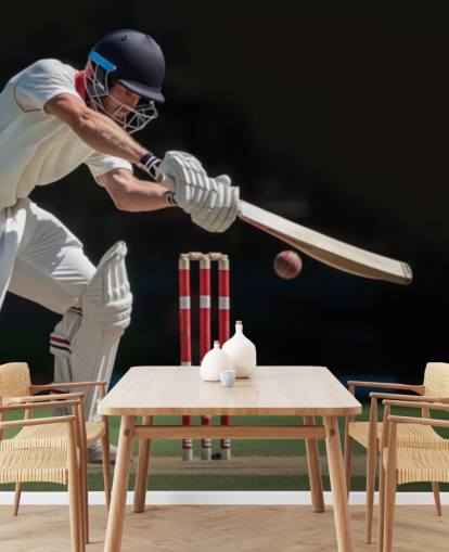 cricket wallpaper mural for teen bedrooms and sports clubs cricket wallpaper mural for teen bedrooms and sports clubs