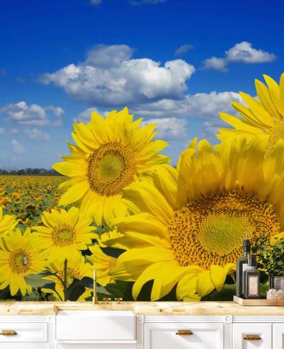 Yellow Sunfowers Bakgrund Yellow Sunfowers Bakgrund