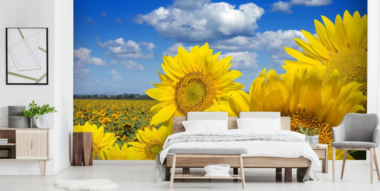 Yellow Sunfowers Bakgrund