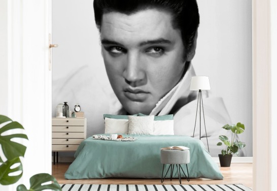 mustavalkoinen rock and roll -taustakuvamaalaus nimeltä Elvis Presley II makuuhuoneisiin ja olohuoneisiin
