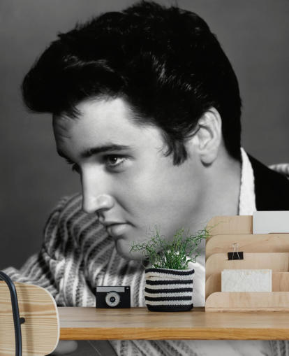 mural de parede de elvis em preto e branco chamado Elvis Presley (Jailhouse Rock) mural de parede de elvis em preto e branco chamado Elvis Presley (Jailhouse Rock)