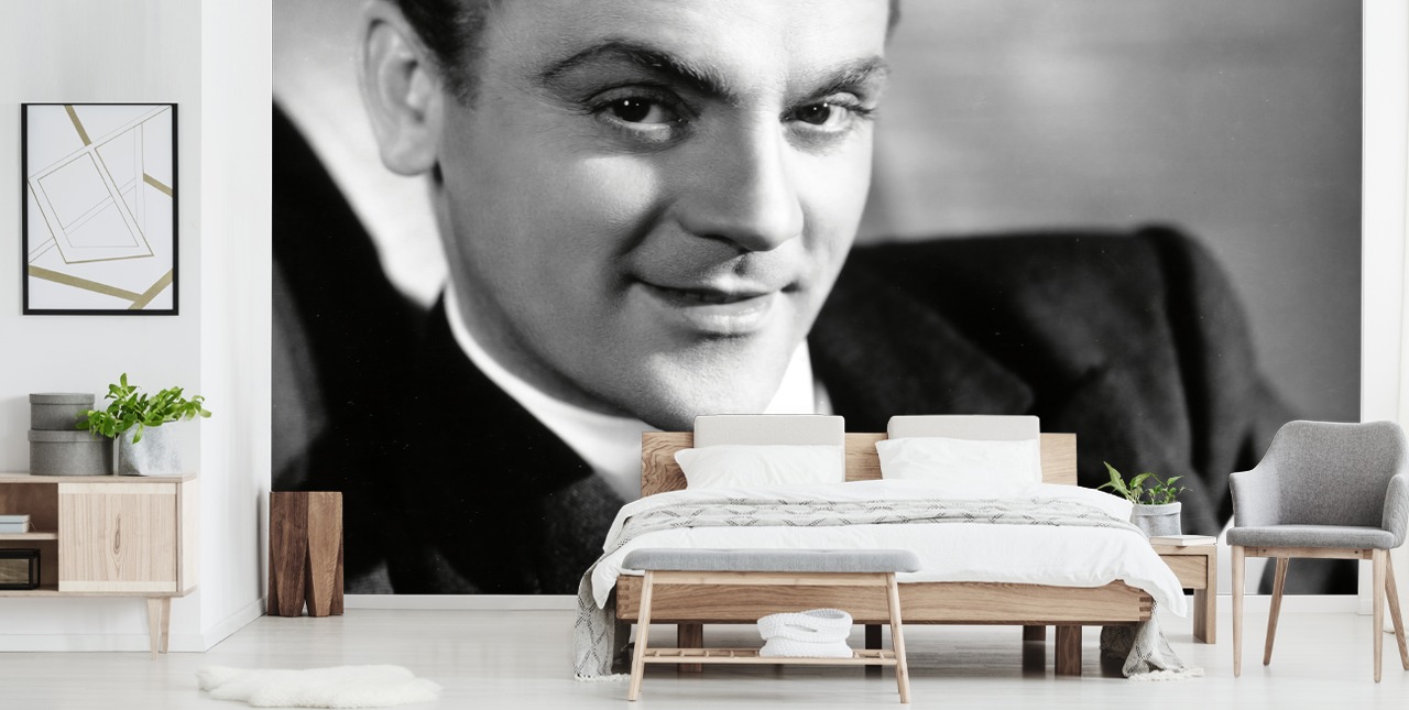 svart-hvitt filmstjerne tapet veggmaleri kalt James Cagney for soverom, stuer og hjemmekontorer