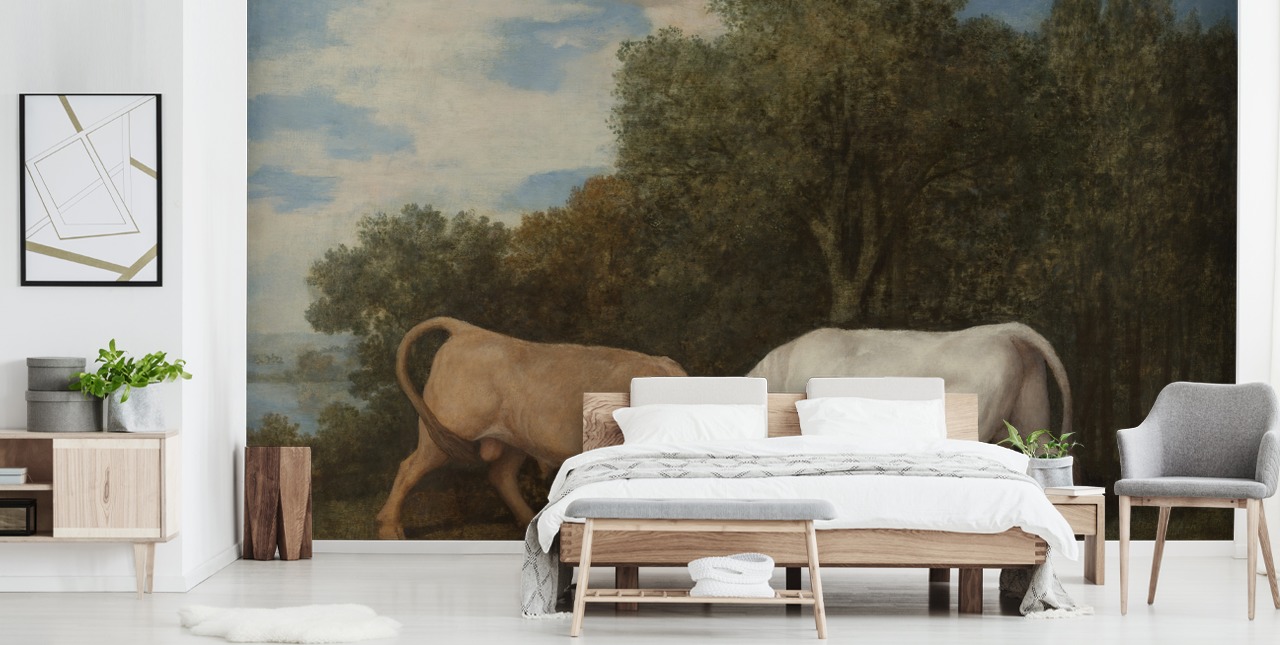 fine art wallpaper mural called Bulls Fighting by George Stubbs for bedrooms and living rooms
