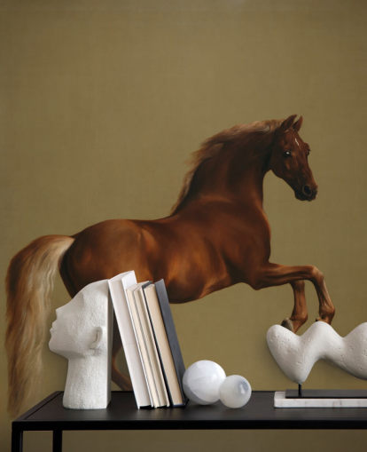 fine art behangmuurschildering genaamd Whistlejacket van George Stubbs voor slaapkamers en woonkamers fine art behangmuurschildering genaamd Whistlejacket van George Stubbs voor slaapkamers en woonkamers