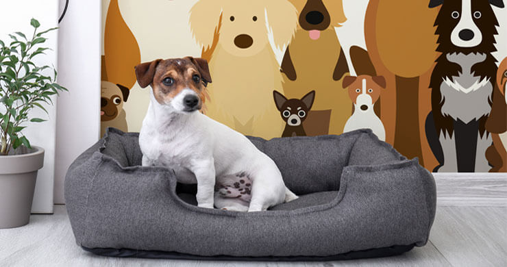 Pinterest  Puppy beds, Dog bed luxury, Dog house bed