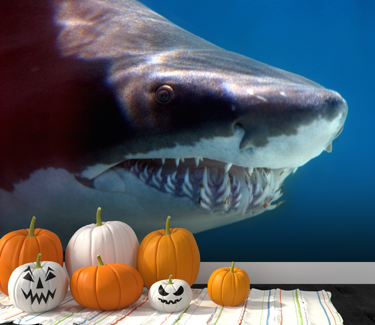 shark wallpaper mural for halloween decor