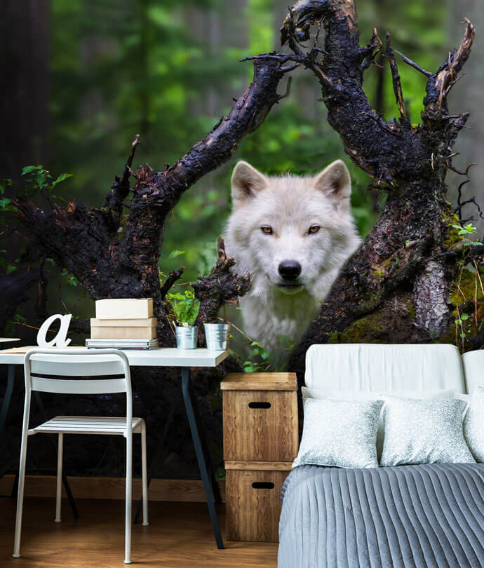 Wildlife Wallpaper to Shake off That Cabin Fever