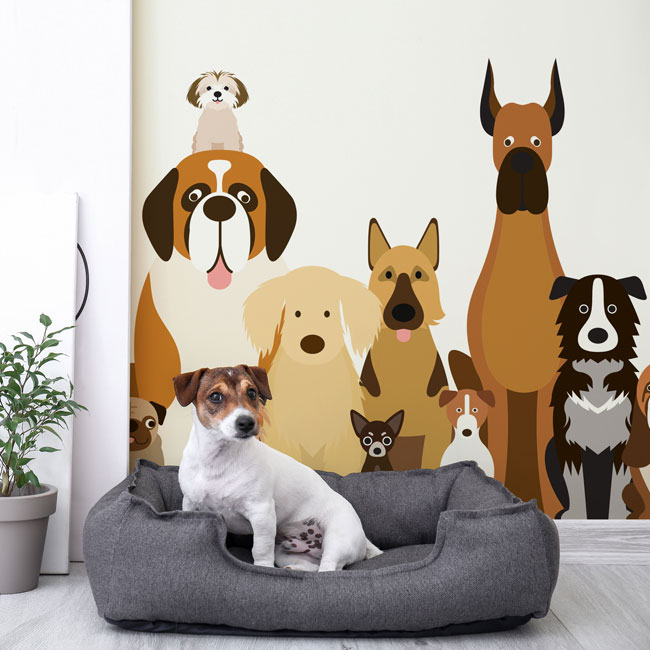 Cómo crear una habitación de lujo para perros [Consejos de expertos]