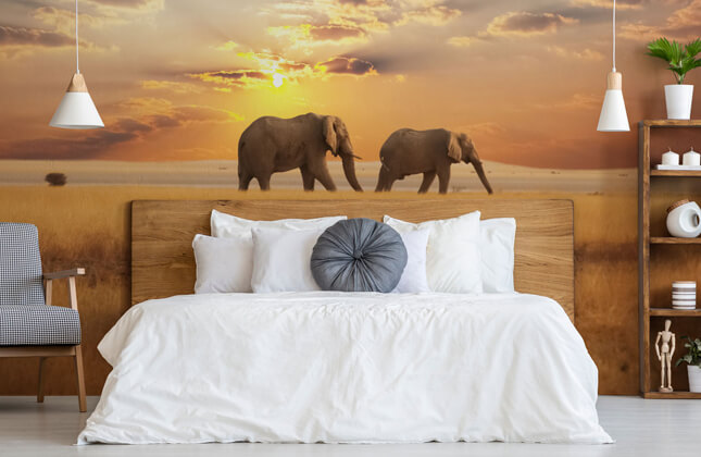 Elefanten-Tapeten und Wandbilder | Wallsauce DE