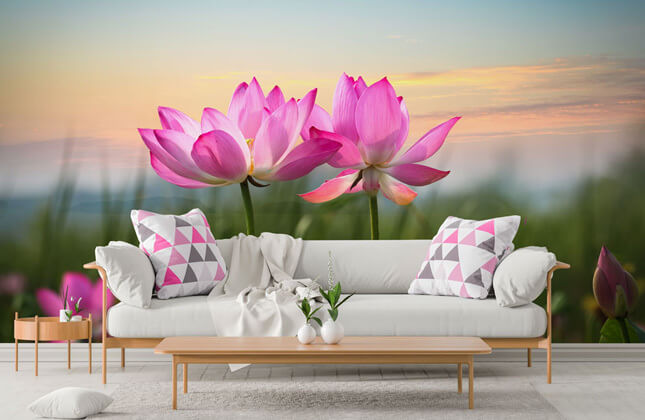 Peaceful lotus flowers mural wallpaper  TenStickers