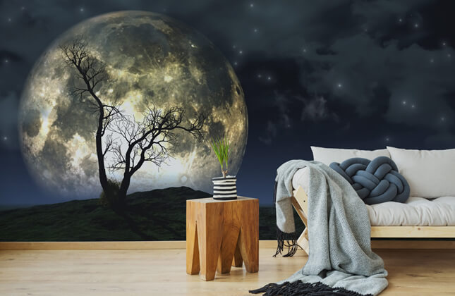 Half-Moon Wall Mural  Buy online at