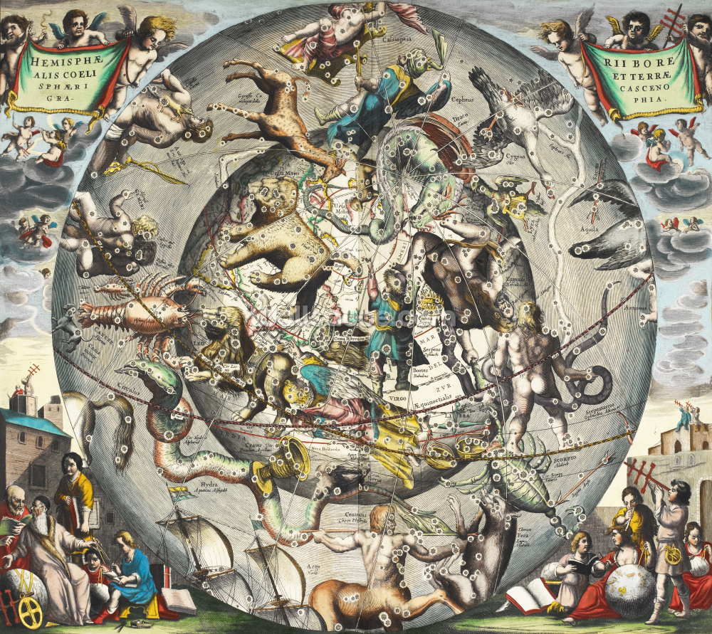 custom astronomy mural called Scenography of the Northern Hemisphere custom astronomy mural called Scenography of the Northern Hemisphere