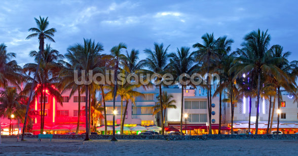 Miami Beach with Palm Trees Wallpaper Mural | Wallsauce US