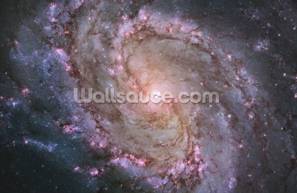 Spiral Galaxy M83 Wallpaper Wallsauce Uk 8638