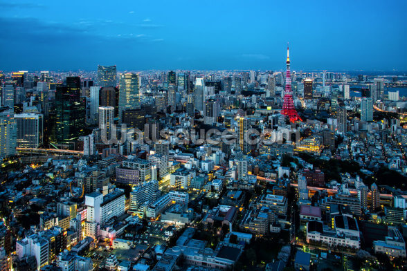 Tokyo City Wall Mural Wallsauce Us