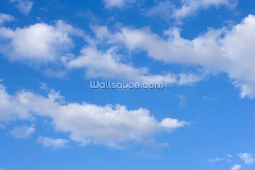Blue Skies With Clouds Wallpaper Mural Wallsauce Us
