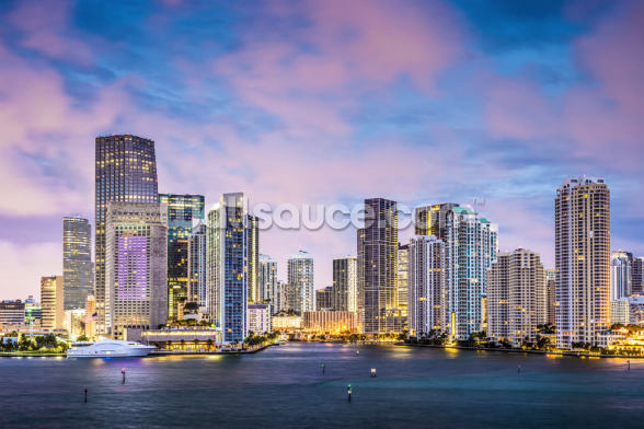 Miami Skyline, Florida Wallpaper Mural | Wallsauce US