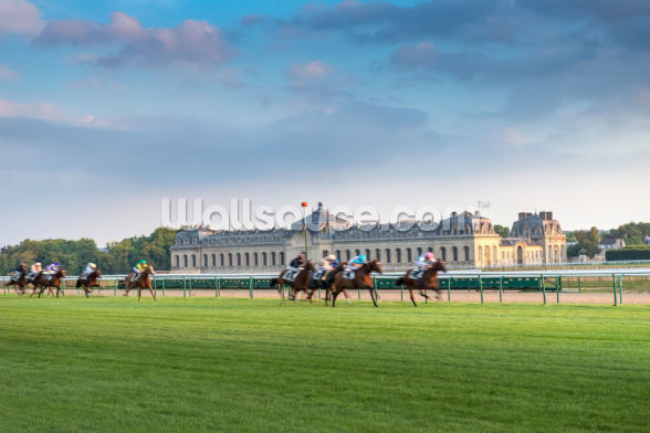 Horserace in Chantilly Wallpaper | Wallsauce US