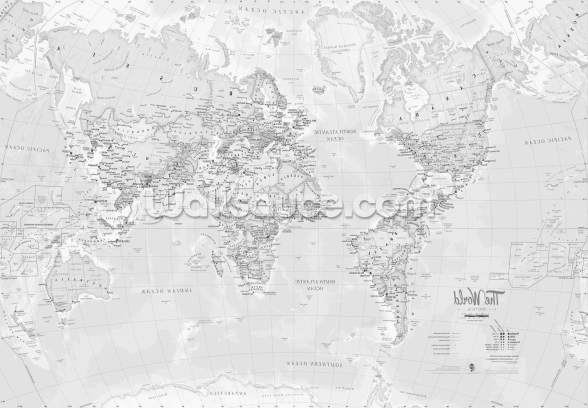 World Political Rustic Wall Mural | Wallsauce US