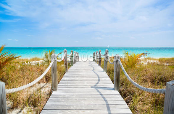 Caribbean Beach Boardwalk Wallpaper Mural | Wallsauce US