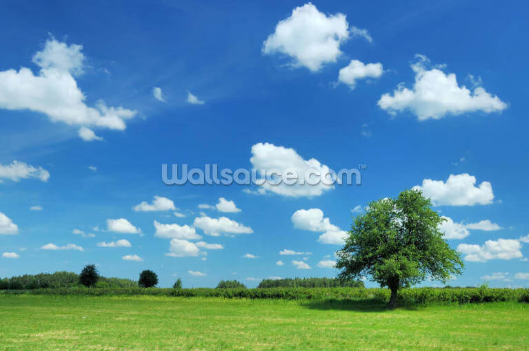 Sky Wallpaper | Wallsauce US