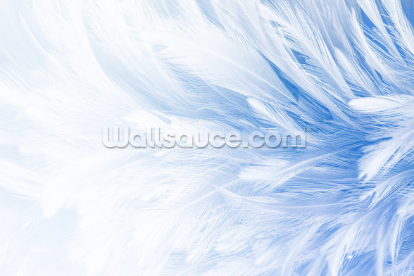 Light Blue Feather Print Mural | Wallsauce US