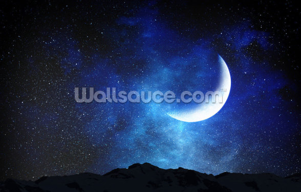 Star Studded Moon Galaxy Wallpaper | Wallsauce US