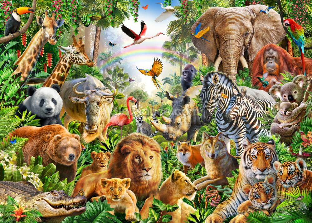 Global Animals Wallpaper | Wallsauce UK