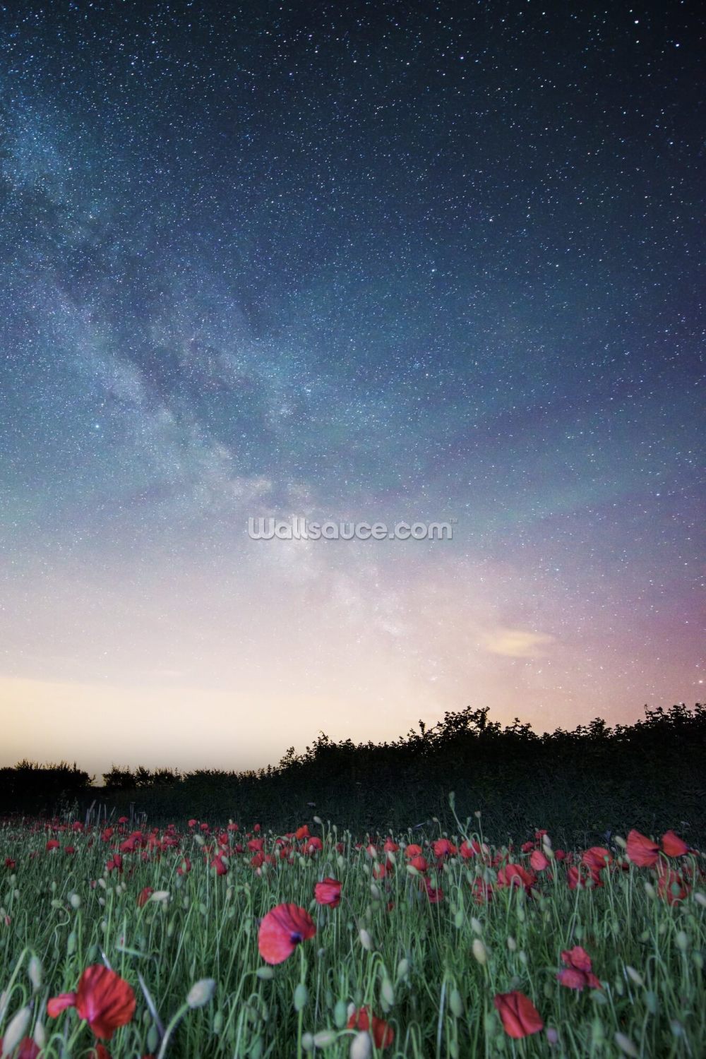 across a field of starlight