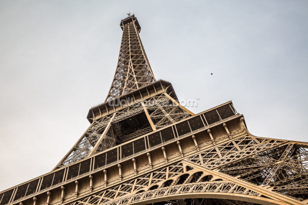 Low Angle View Of Eiffel Tower France Wallsauce De