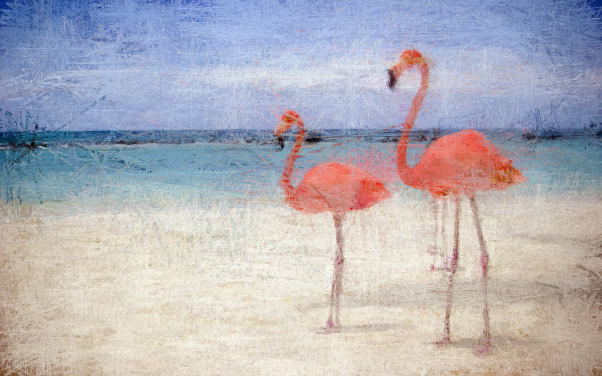 flamingo wallpaper for walls