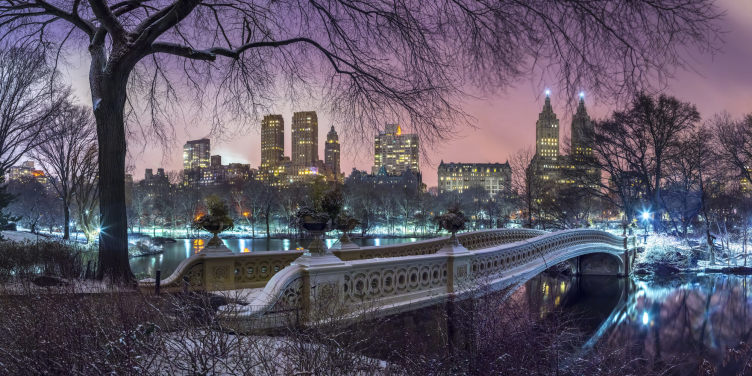 Central Park with Manhattan Skyline Lights