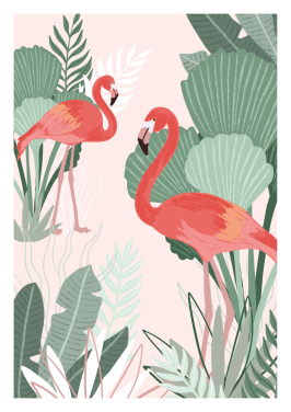 Flamingo Dreams