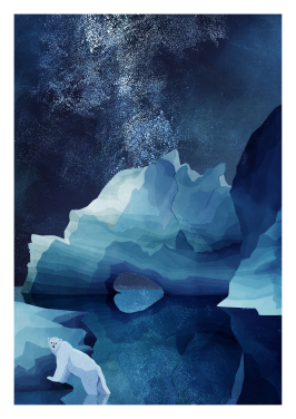 Polar Bear By Night