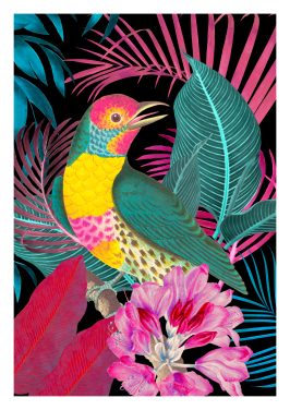 Ecstatic Jungle of Colours Bird Black
