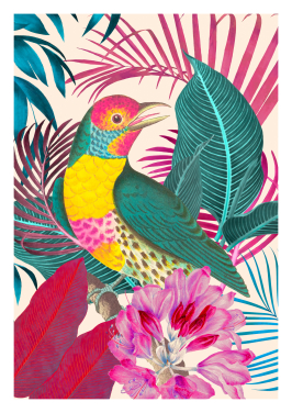Ecstatic Jungle Of Colours Bird Cream
