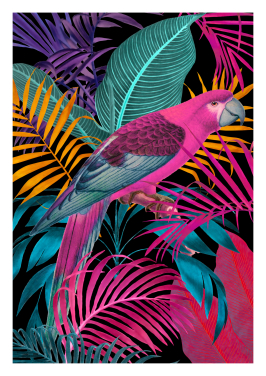 Ecstatic Jungle Of Colours Pink Parrot Black